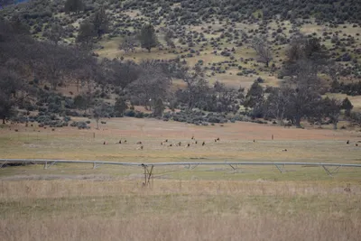 DSC_3074 (Large).JPG